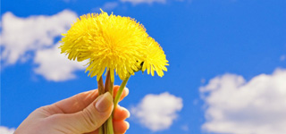 a flower in the hand